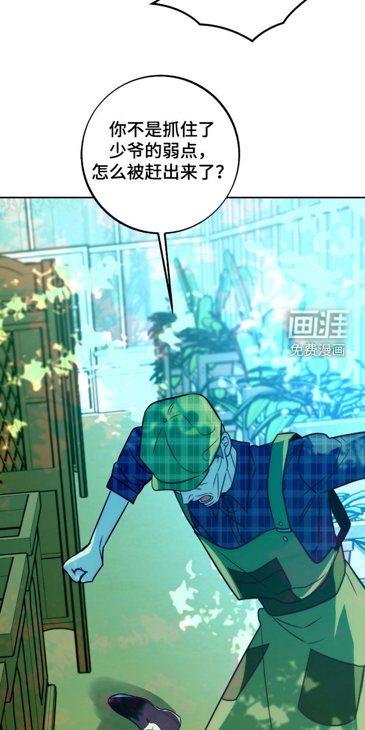 少爷的金鱼仆从漫画-图27