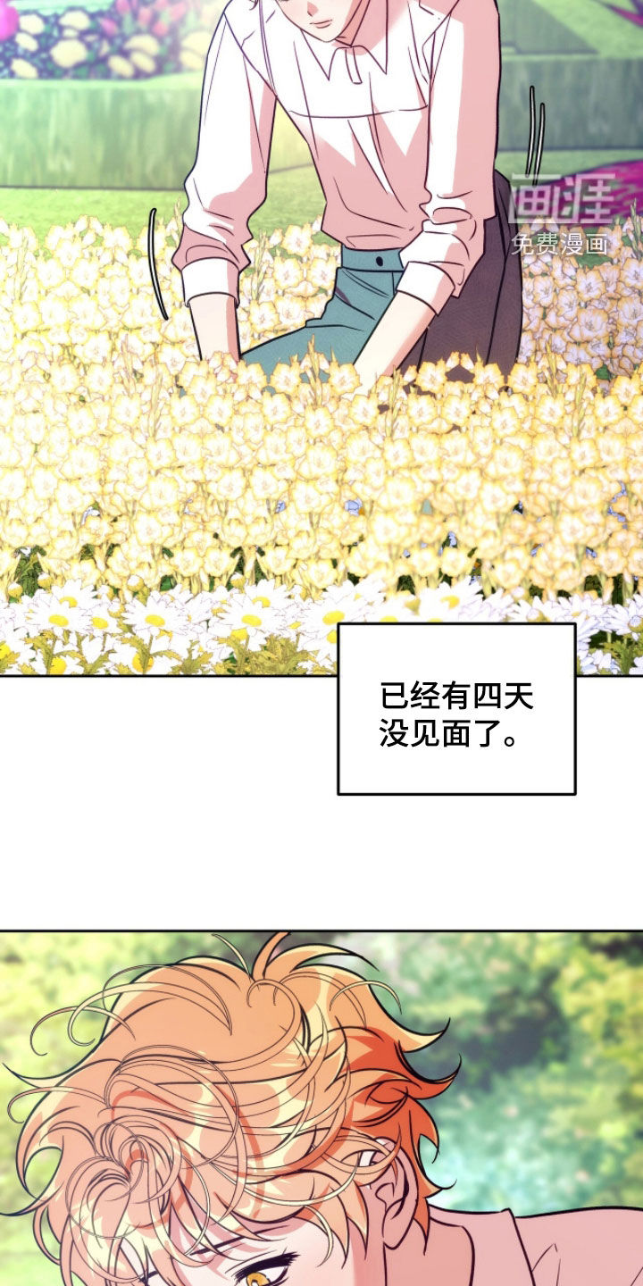 少爷的金鱼仆从漫画-图5