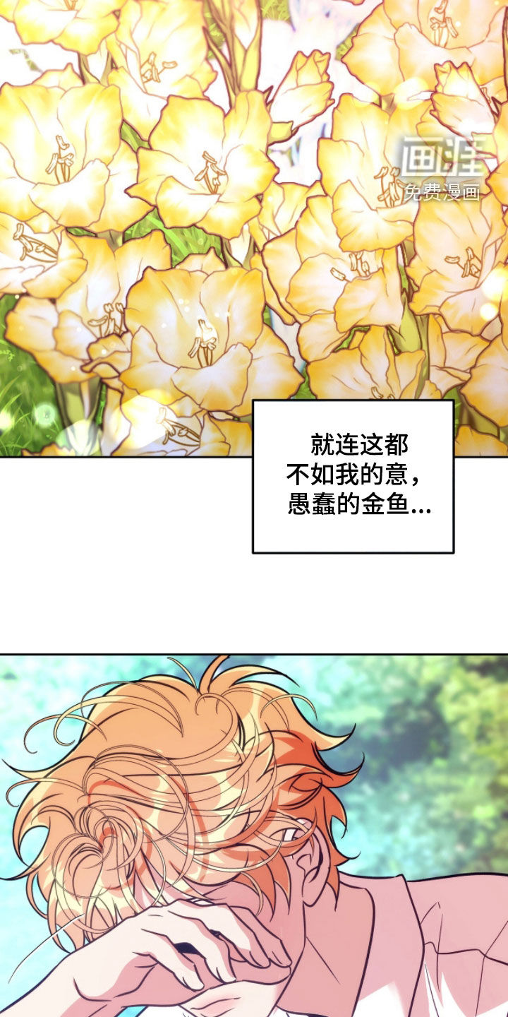 少爷的金鱼仆从漫画-图8