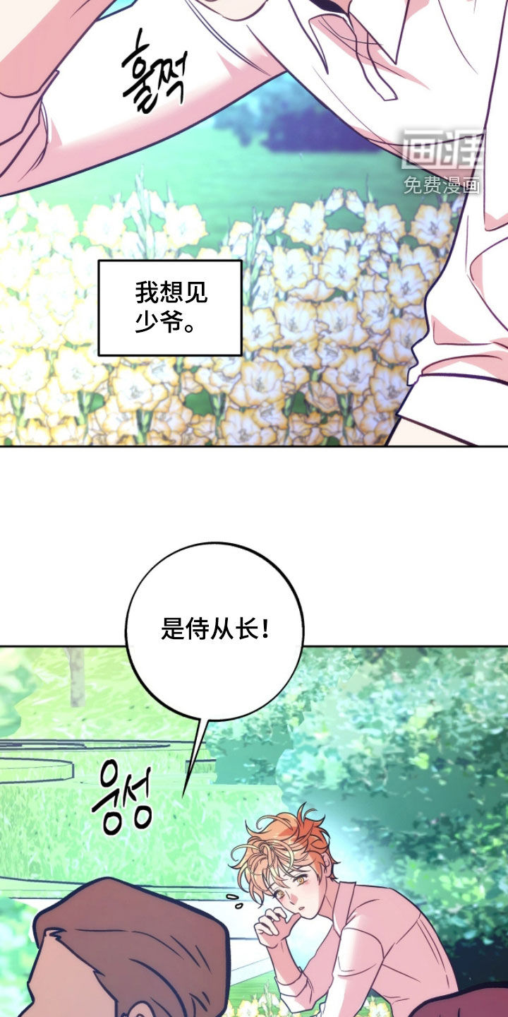 少爷的金鱼仆从漫画-图9