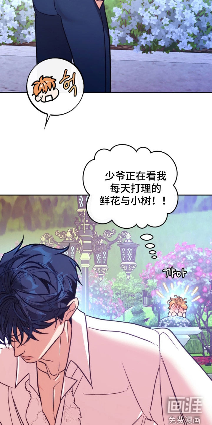 少爷的金鱼仆从漫画-图7