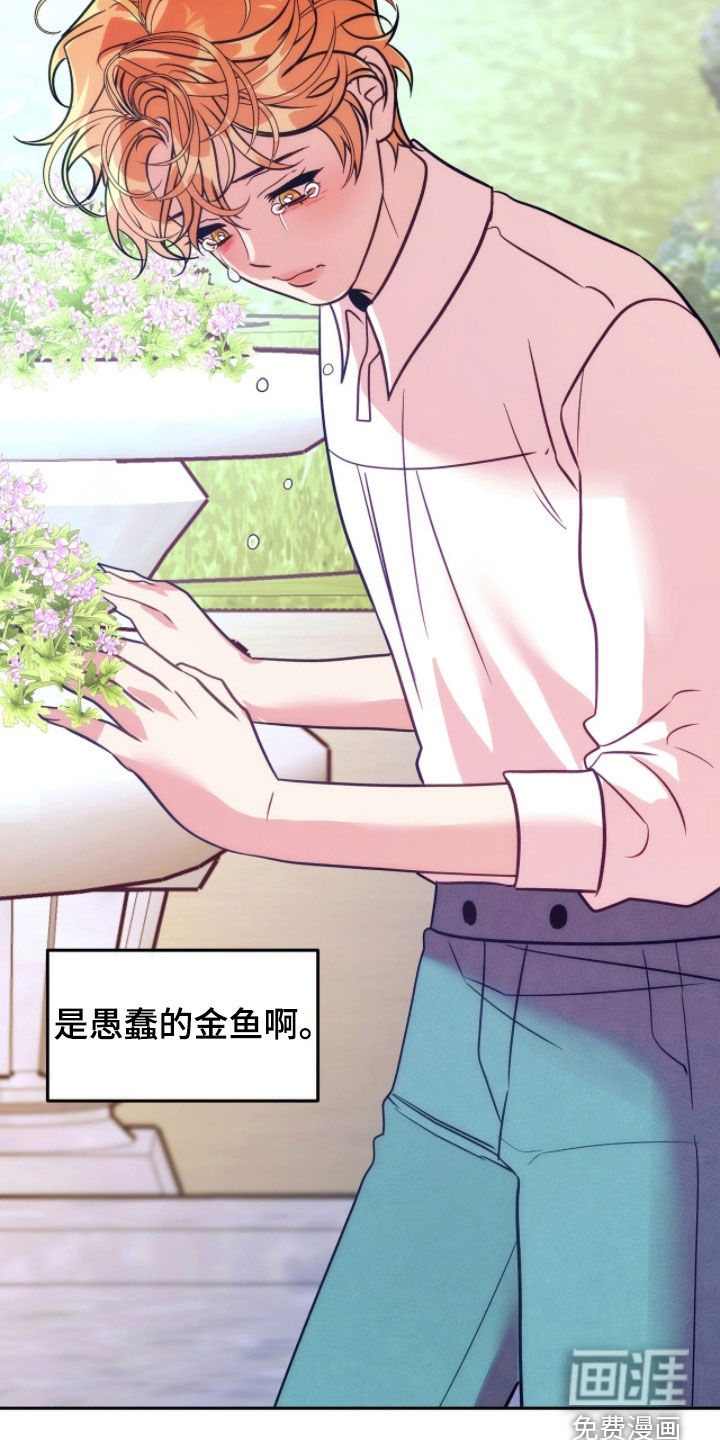 少爷的金鱼仆从漫画-图13