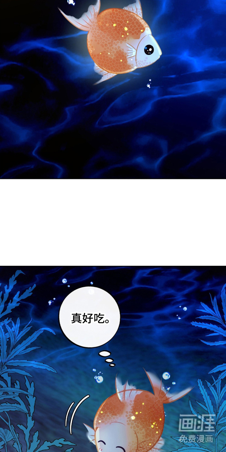 少爷的金鱼仆从漫画-图12