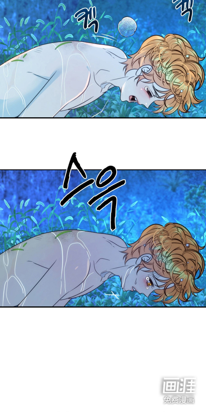 少爷的金鱼仆从漫画-图12