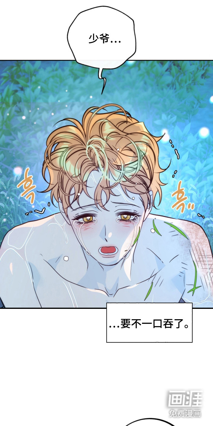 少爷的金鱼仆从漫画-图19