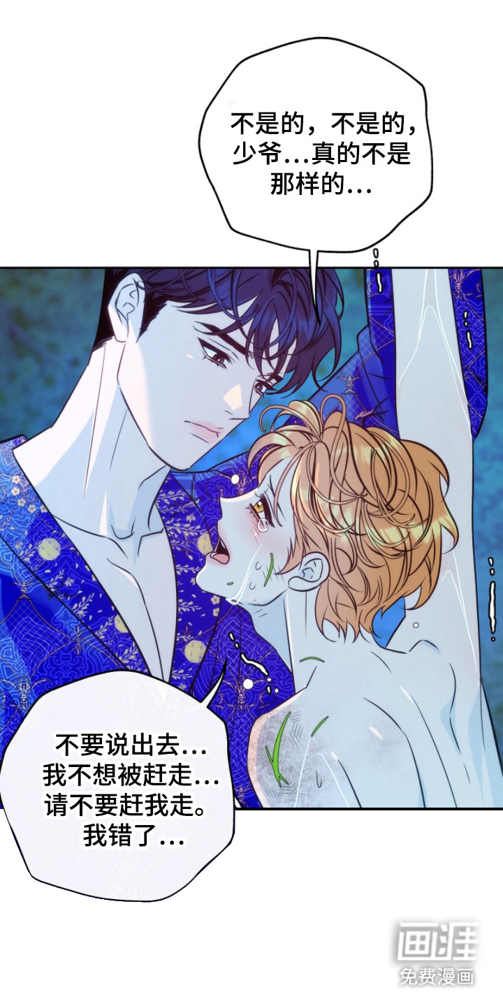少爷的金鱼仆从漫画-图9