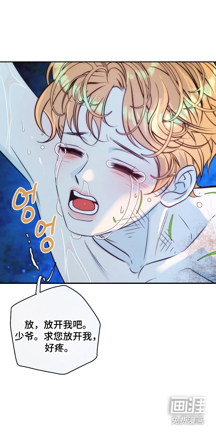 少爷的金鱼仆从漫画-图11