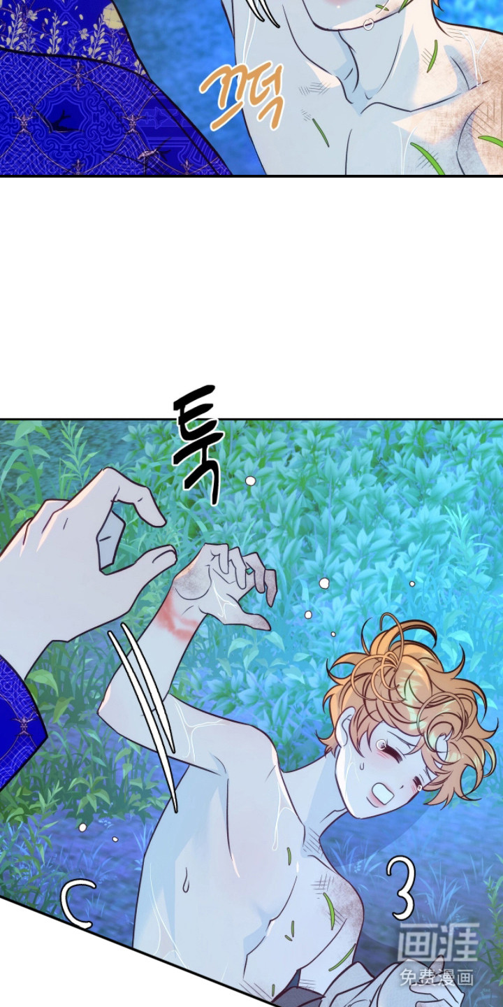 少爷的金鱼仆从漫画-图14