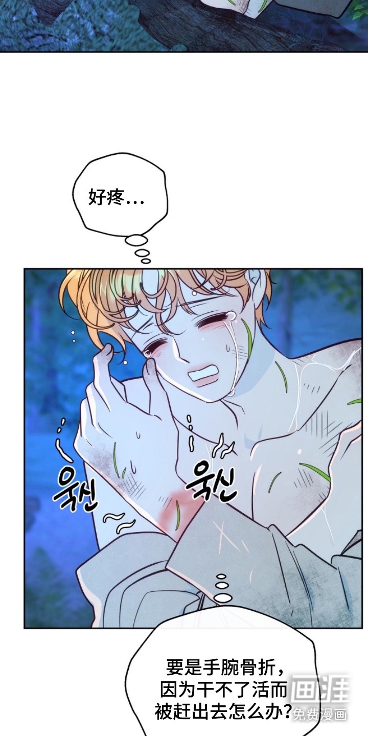 少爷的金鱼仆从漫画-图16