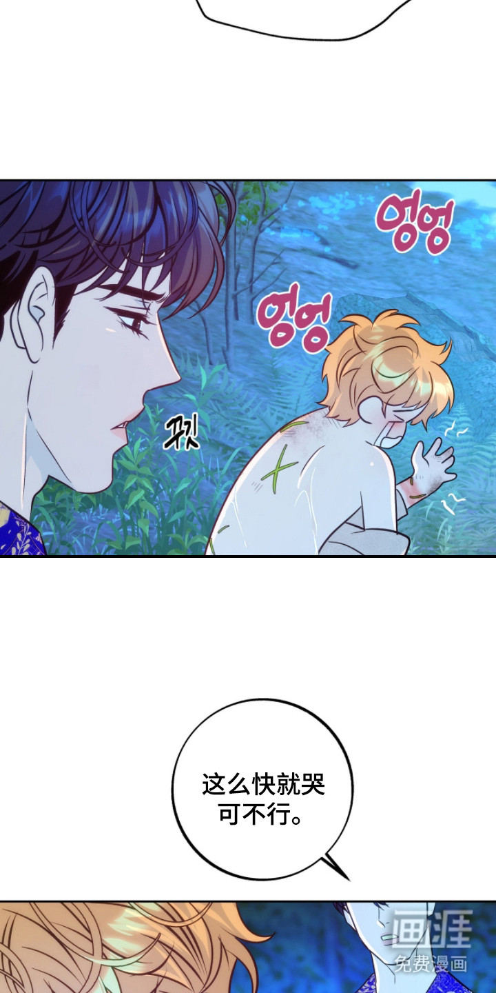 少爷的金鱼仆从漫画-图17