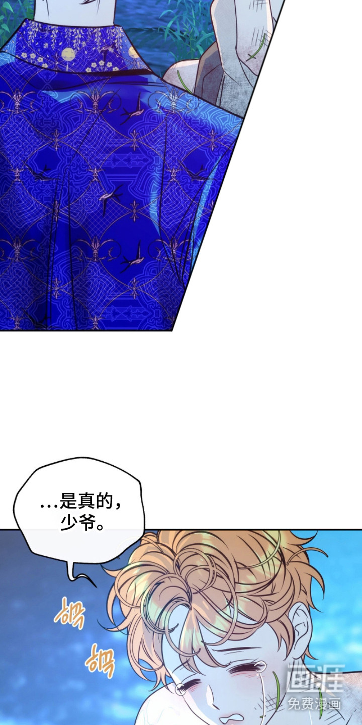 少爷的金鱼仆从漫画-图19