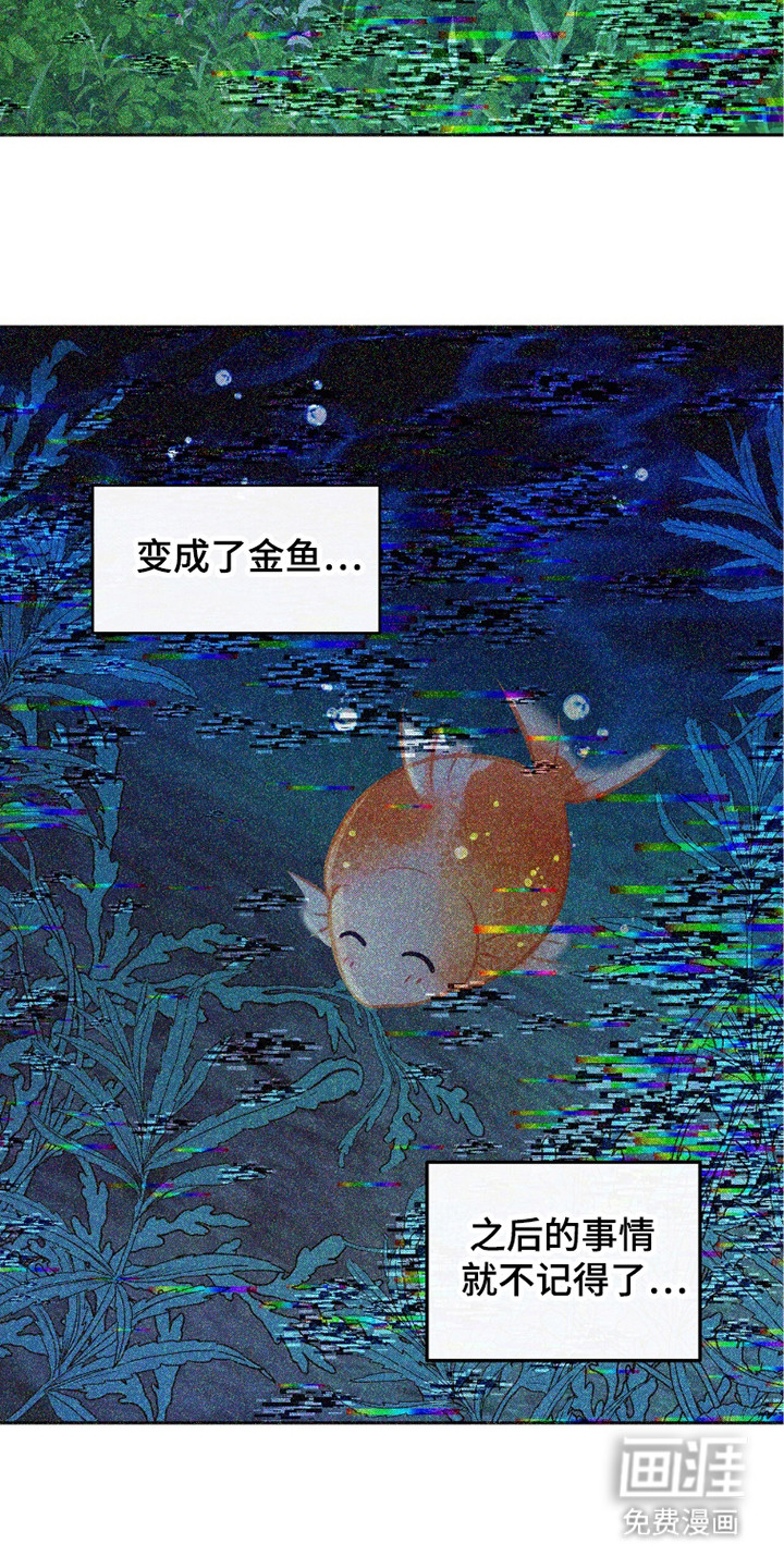 少爷的金鱼仆从漫画-图27