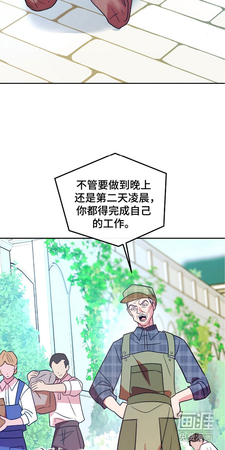 少爷的金鱼仆从漫画-图6