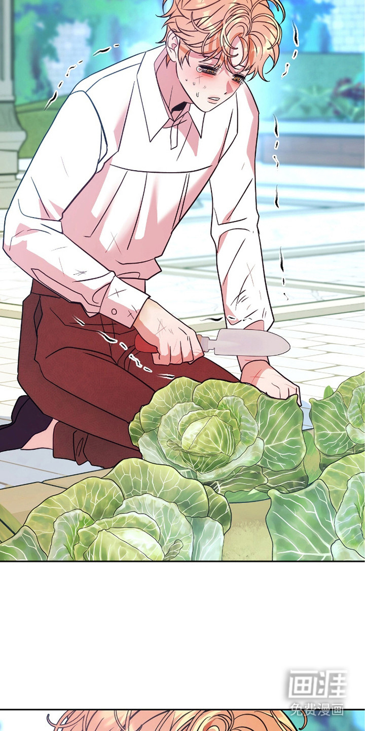 少爷的金鱼仆从漫画-图8