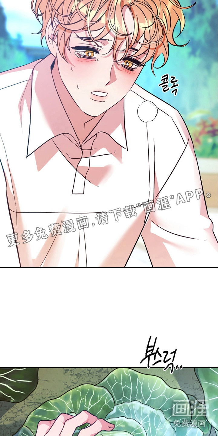 少爷的金鱼仆从漫画-图9
