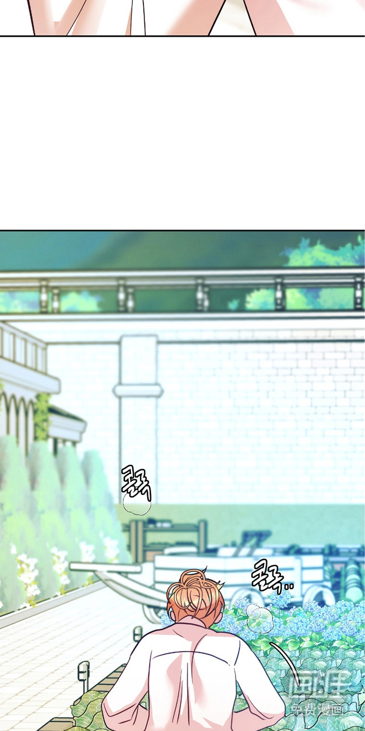 少爷的金鱼仆从漫画-图12