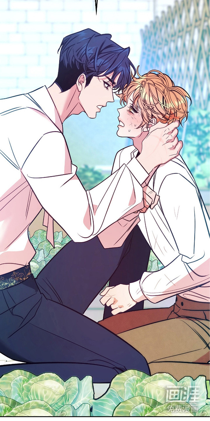 少爷的金鱼仆从漫画-图12