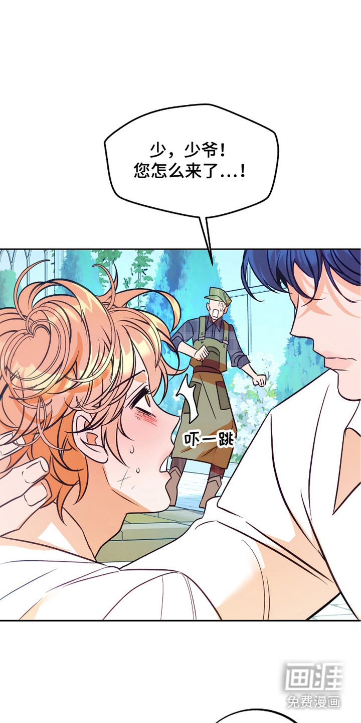 少爷的金鱼仆从漫画-图13