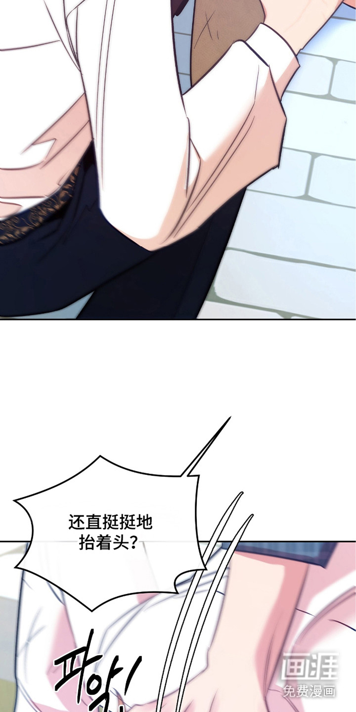 少爷的金鱼仆从漫画-图17