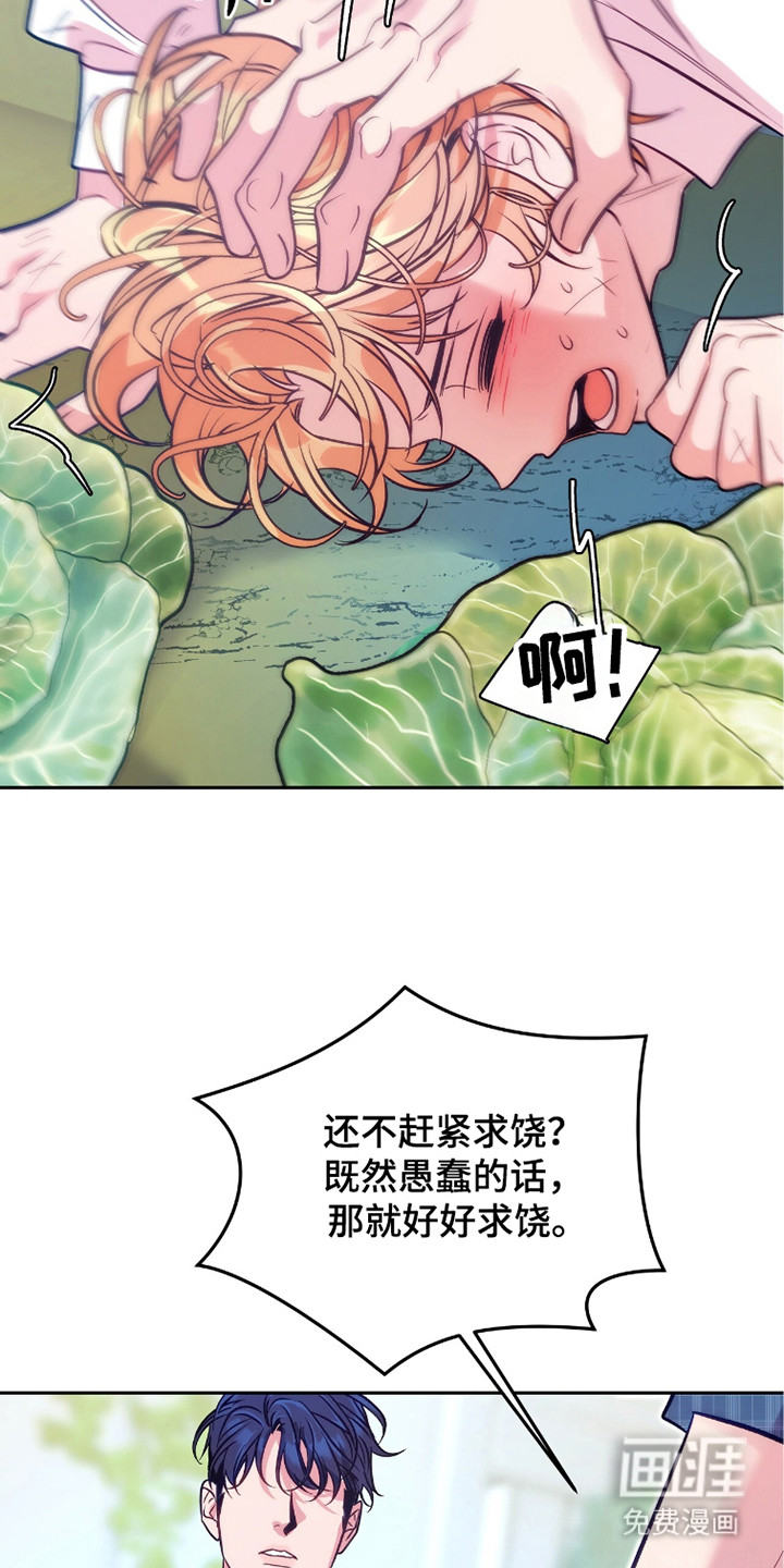 少爷的金鱼仆从漫画-图18