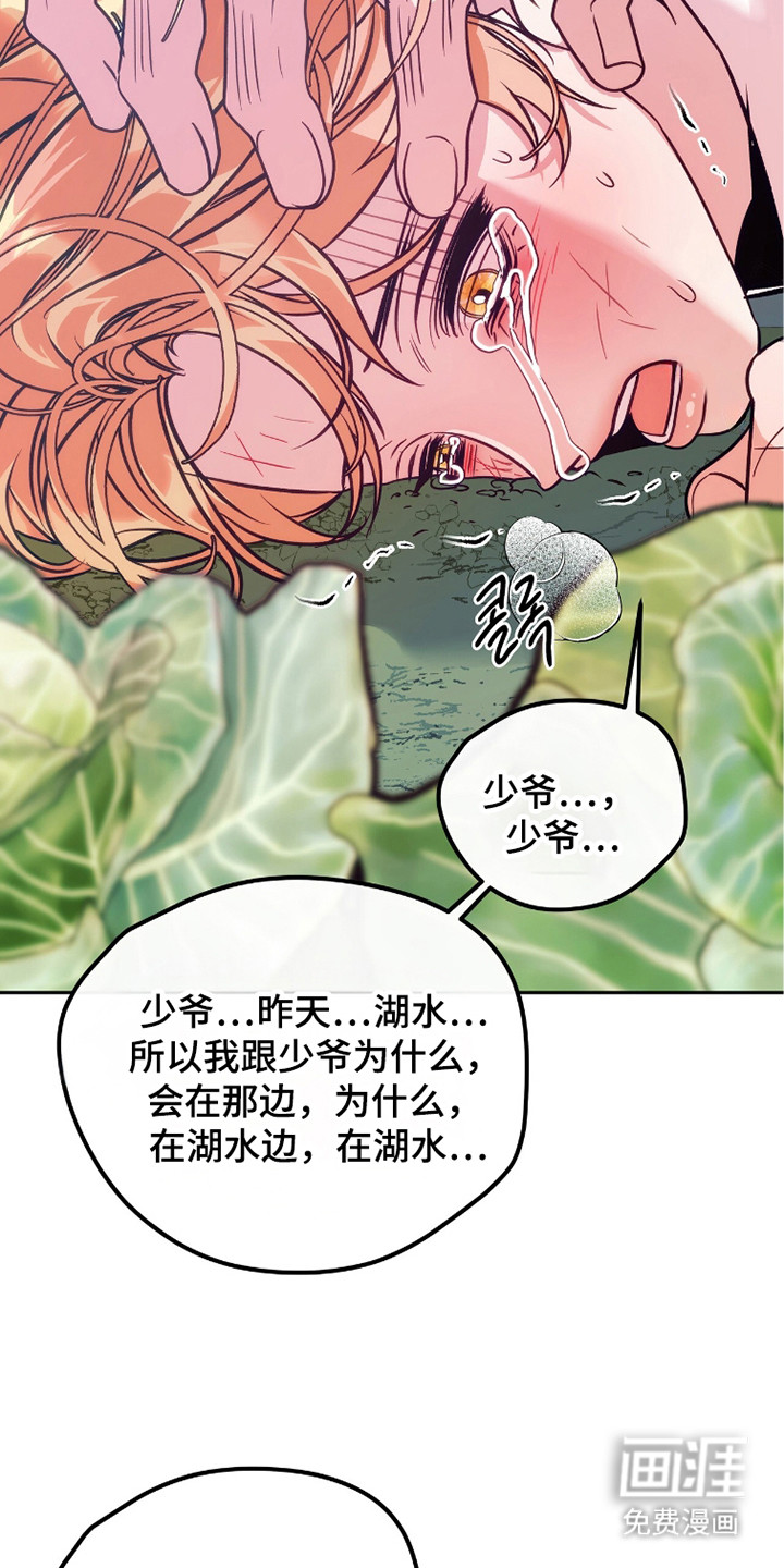 少爷的金鱼仆从漫画-图20