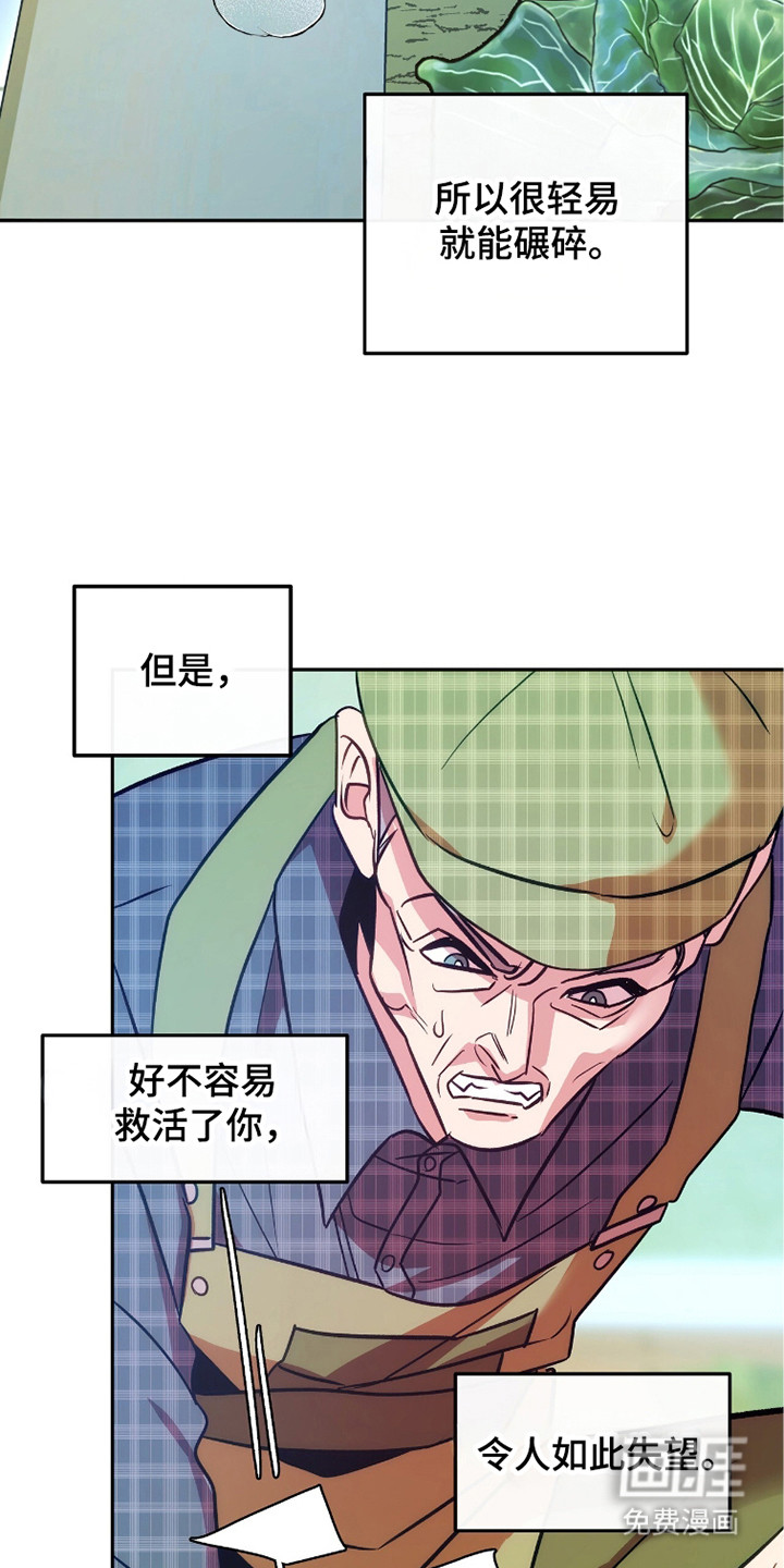 少爷的金鱼仆从漫画-图23
