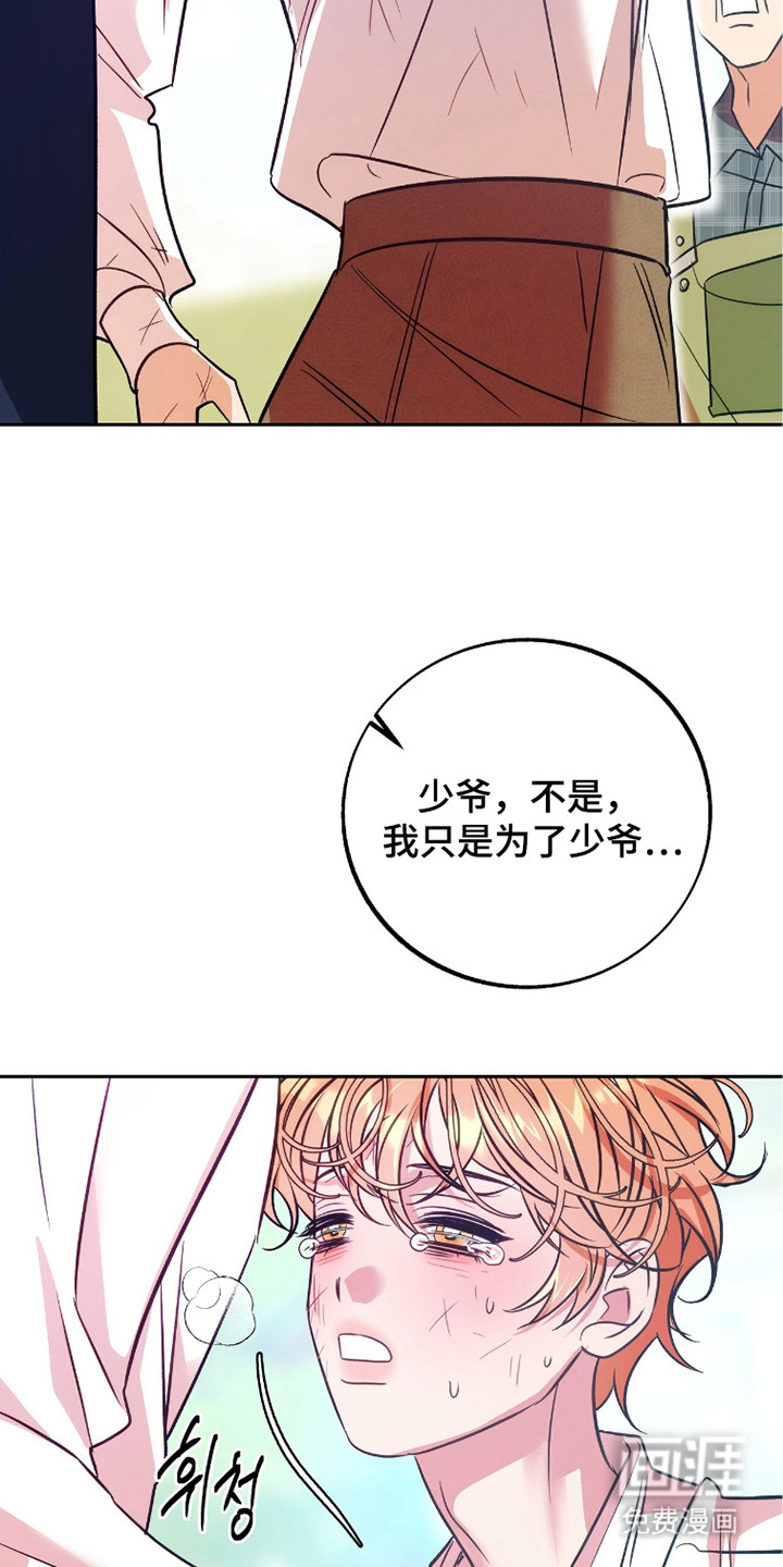 少爷的金鱼仆从漫画-图4