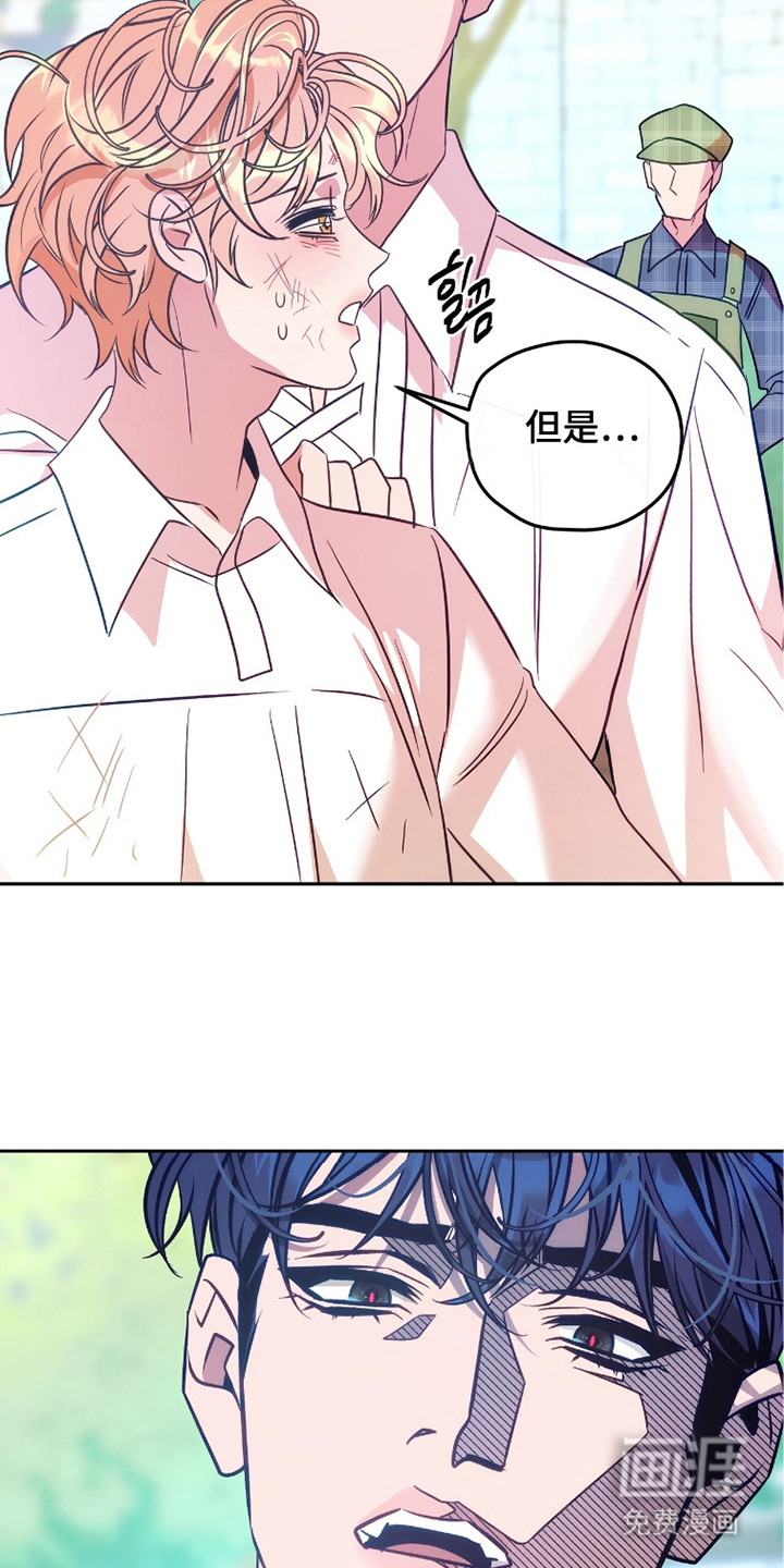 少爷的金鱼仆从漫画-图13