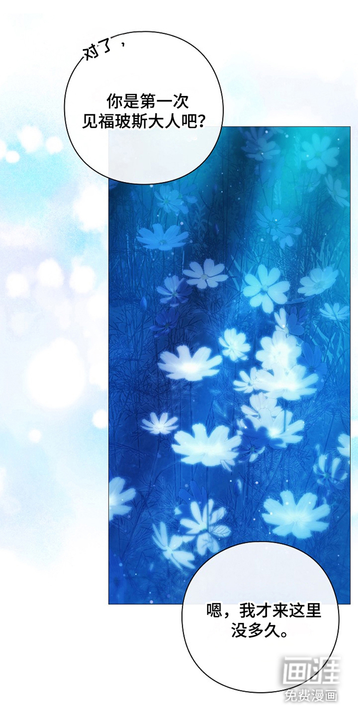 神谕之爱第3话图