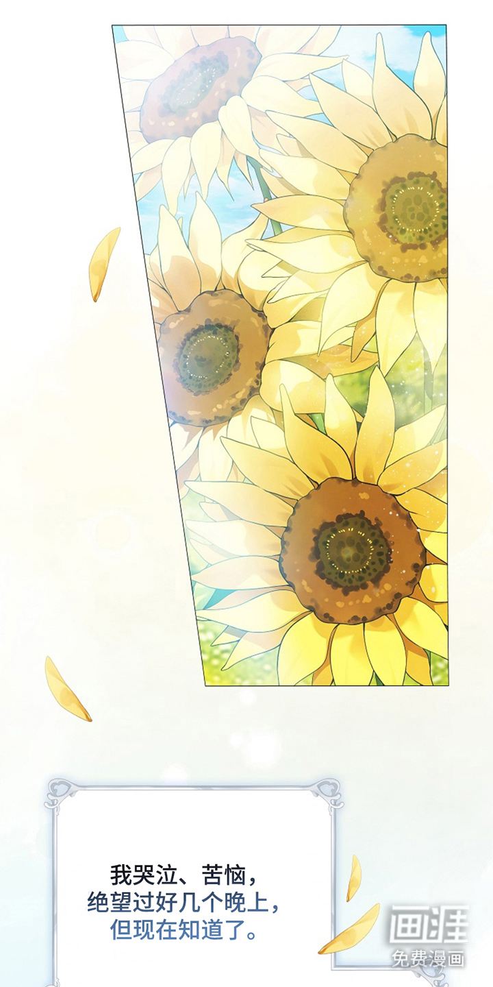 神谕之爱第5话图