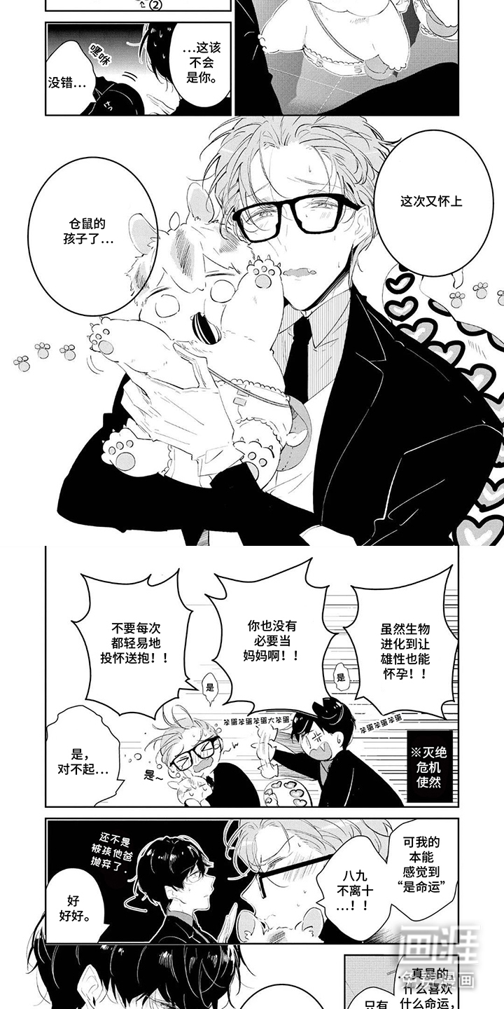 狩狼之兔 第2话 第3页