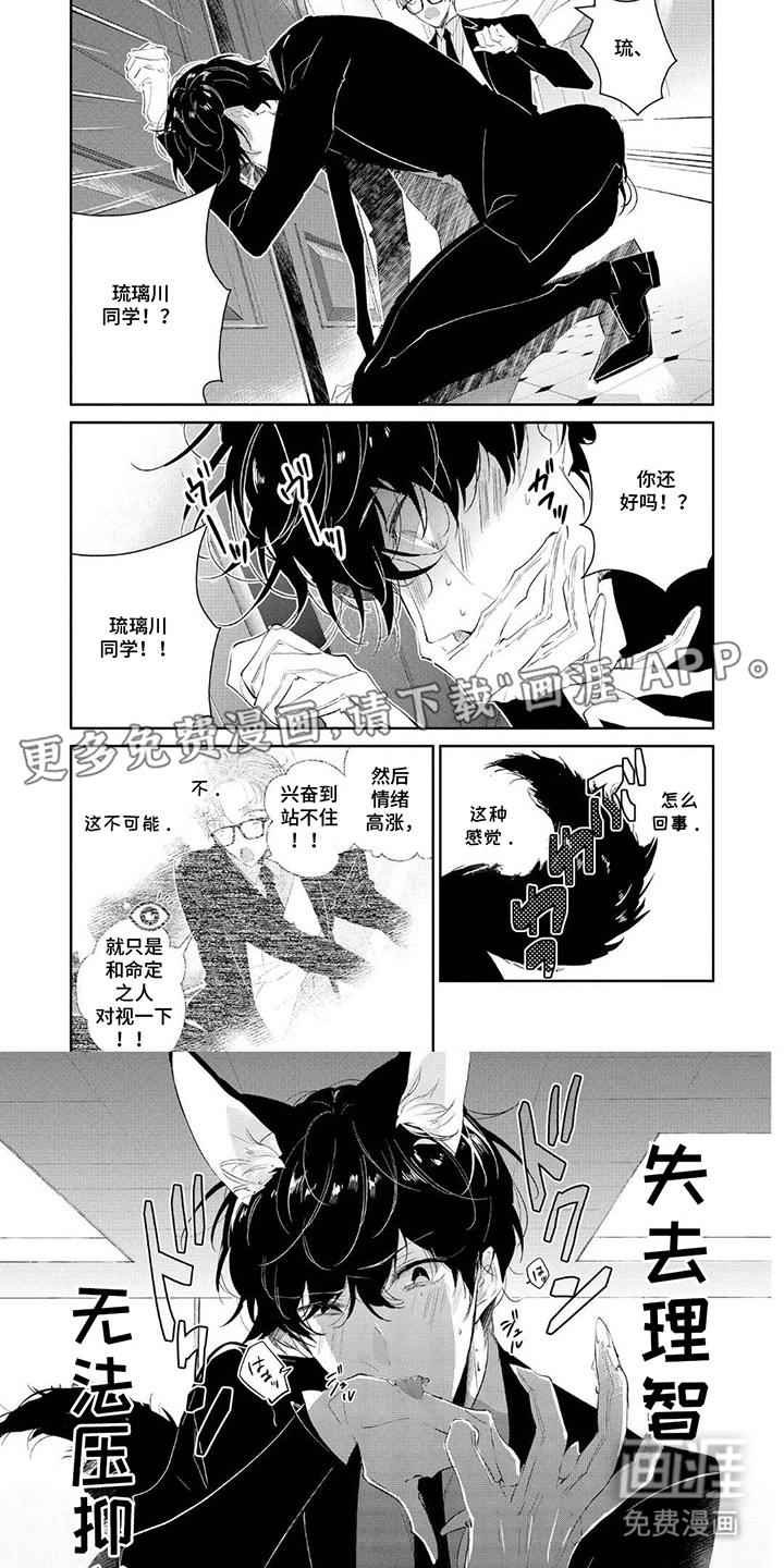 狩狼之兔 第3话 第1页