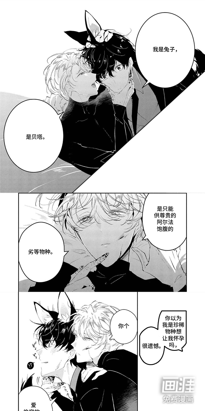 狩狼之兔第4话图