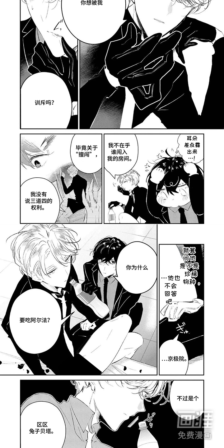 狩狼之兔漫画-图3