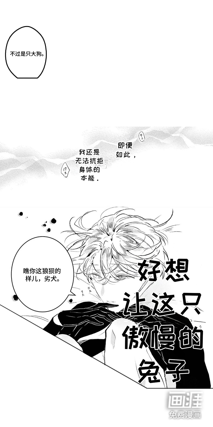 狩狼之兔漫画-图3
