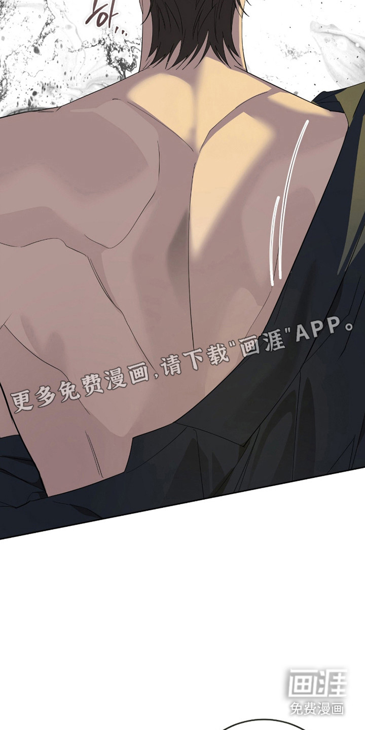 双A法则漫画-图15