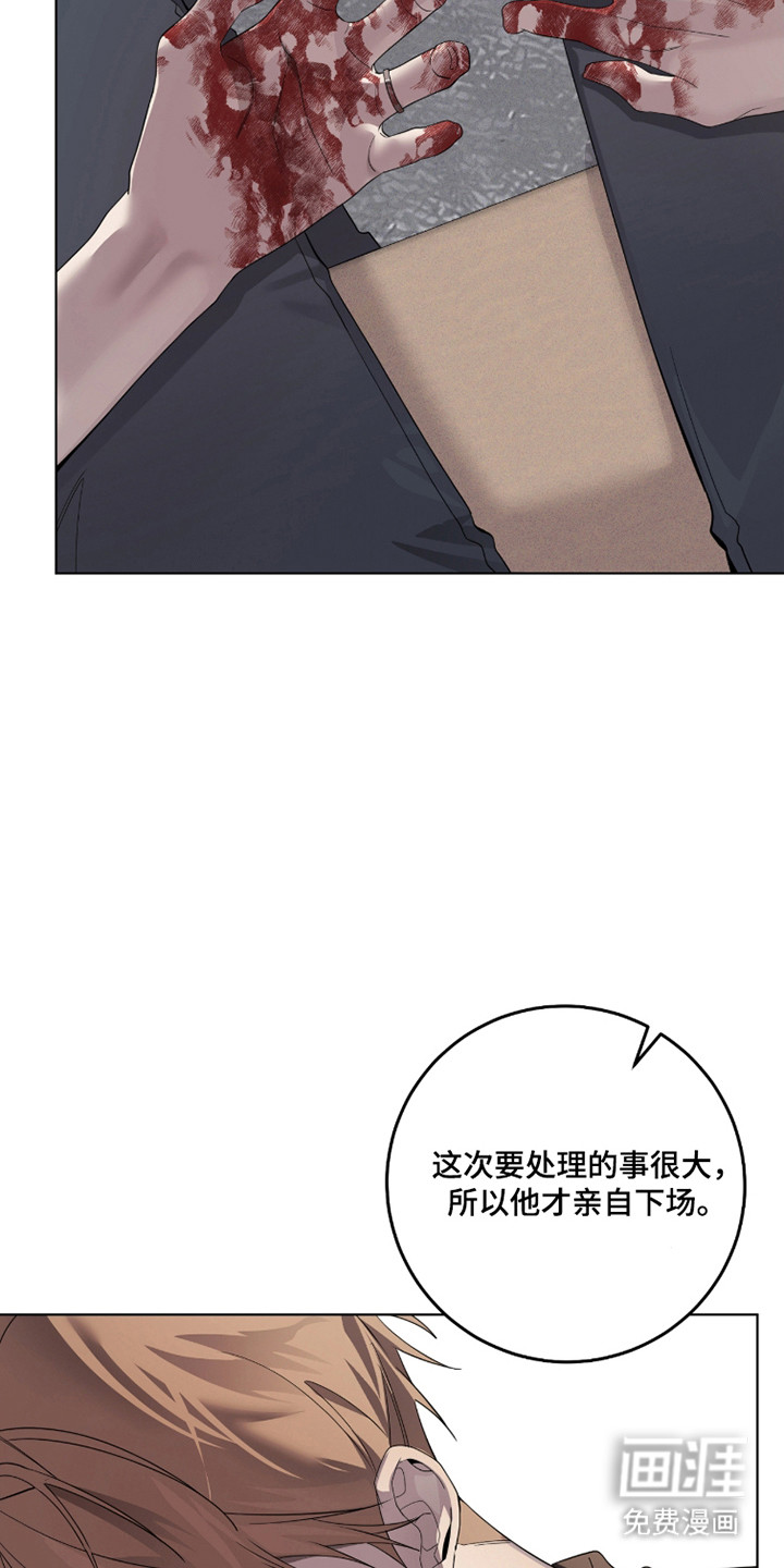 双A法则漫画-图5