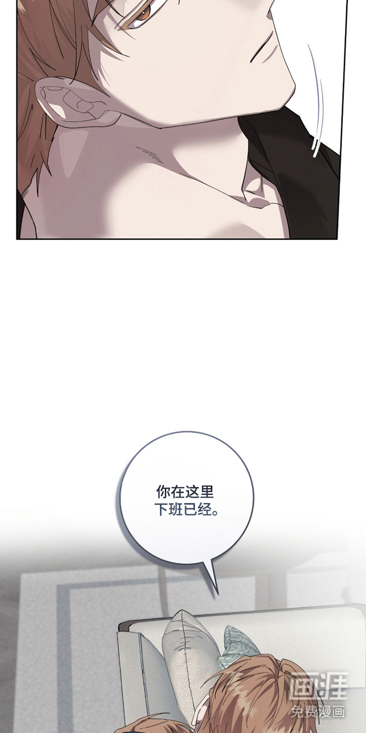 双A法则漫画-图16