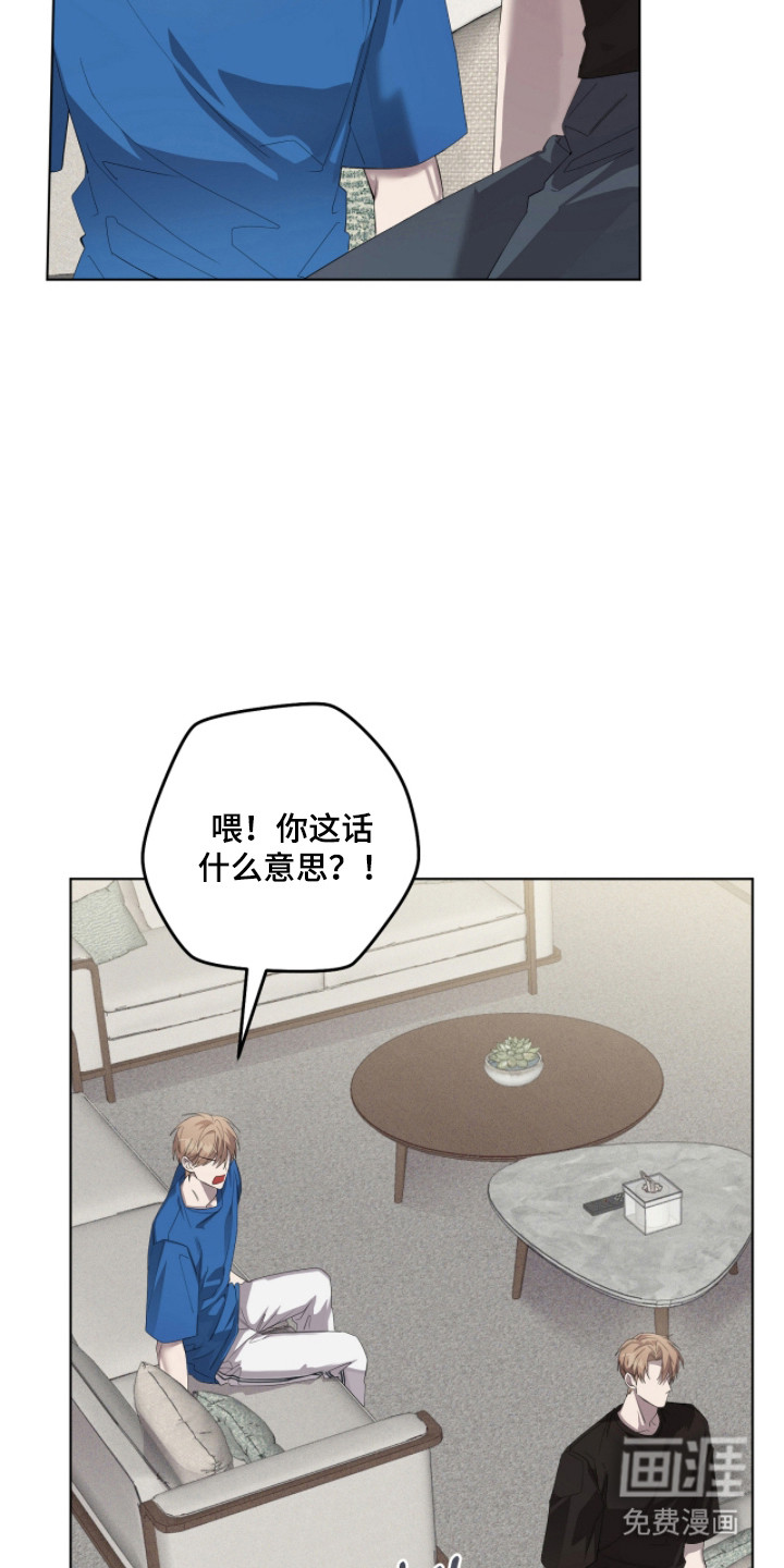 双A法则漫画-图4