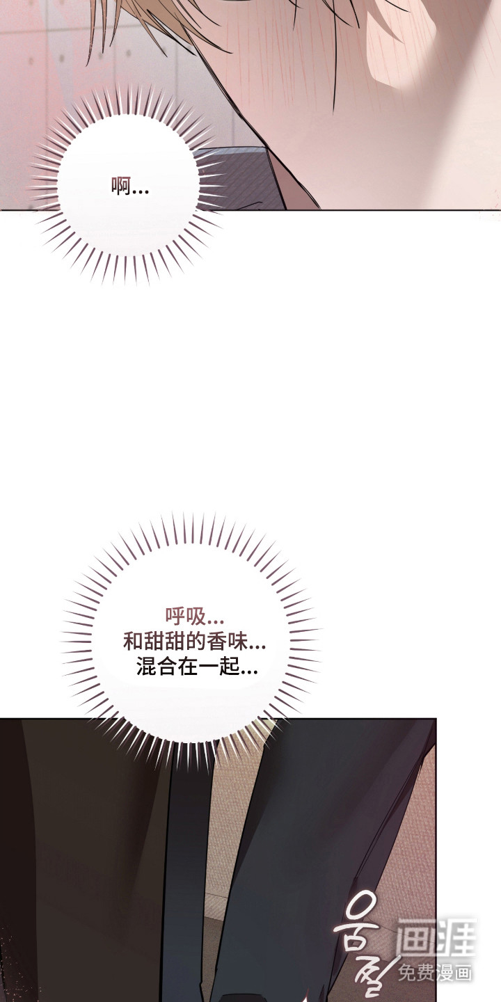 双A法则漫画-图13