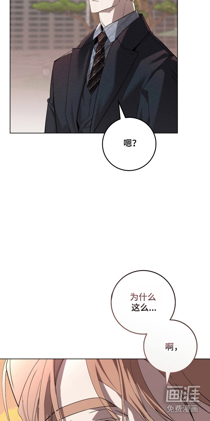 双A法则漫画-图30