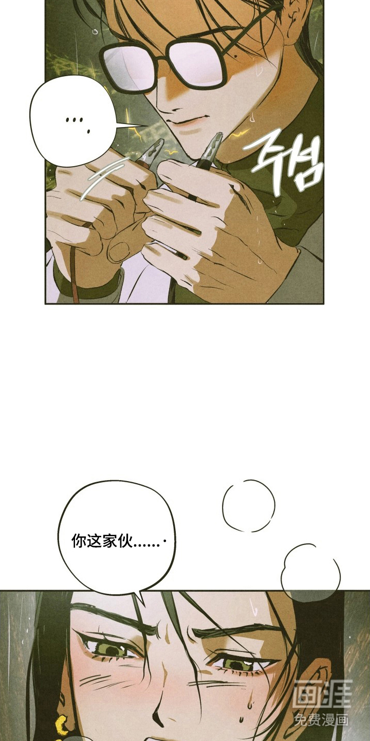 神的使用方法漫画-图14