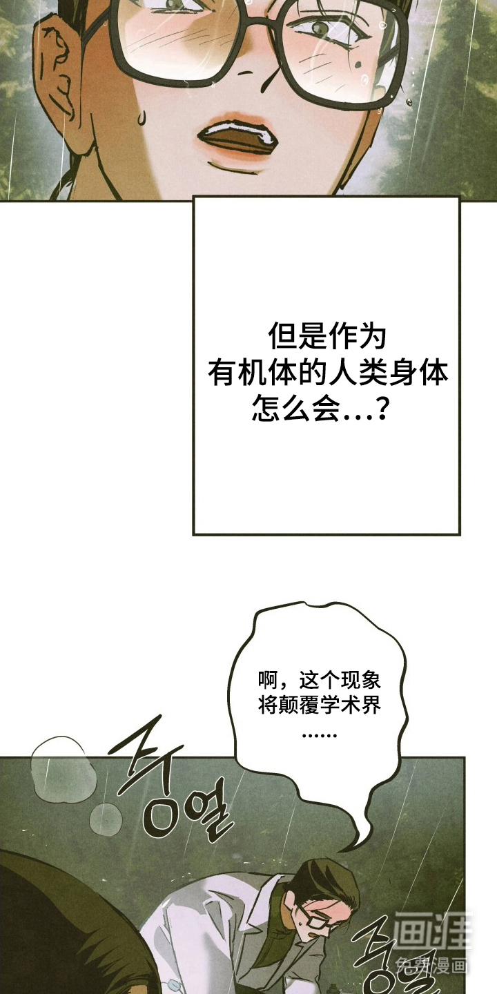 神的使用方法漫画-图12