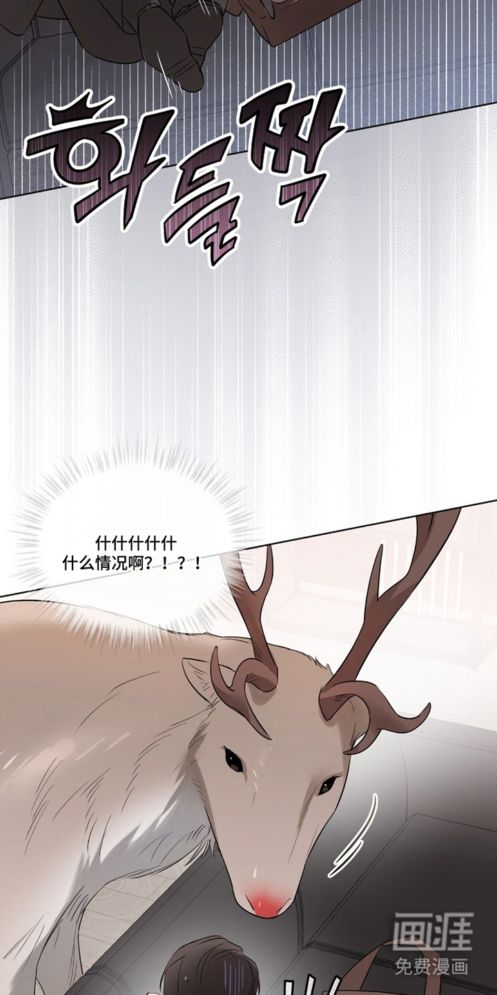 圣诞代理人漫画-图8