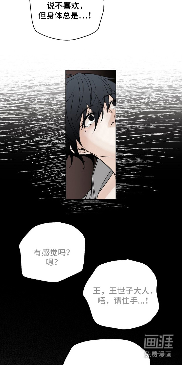 深宫赤子漫画-图14