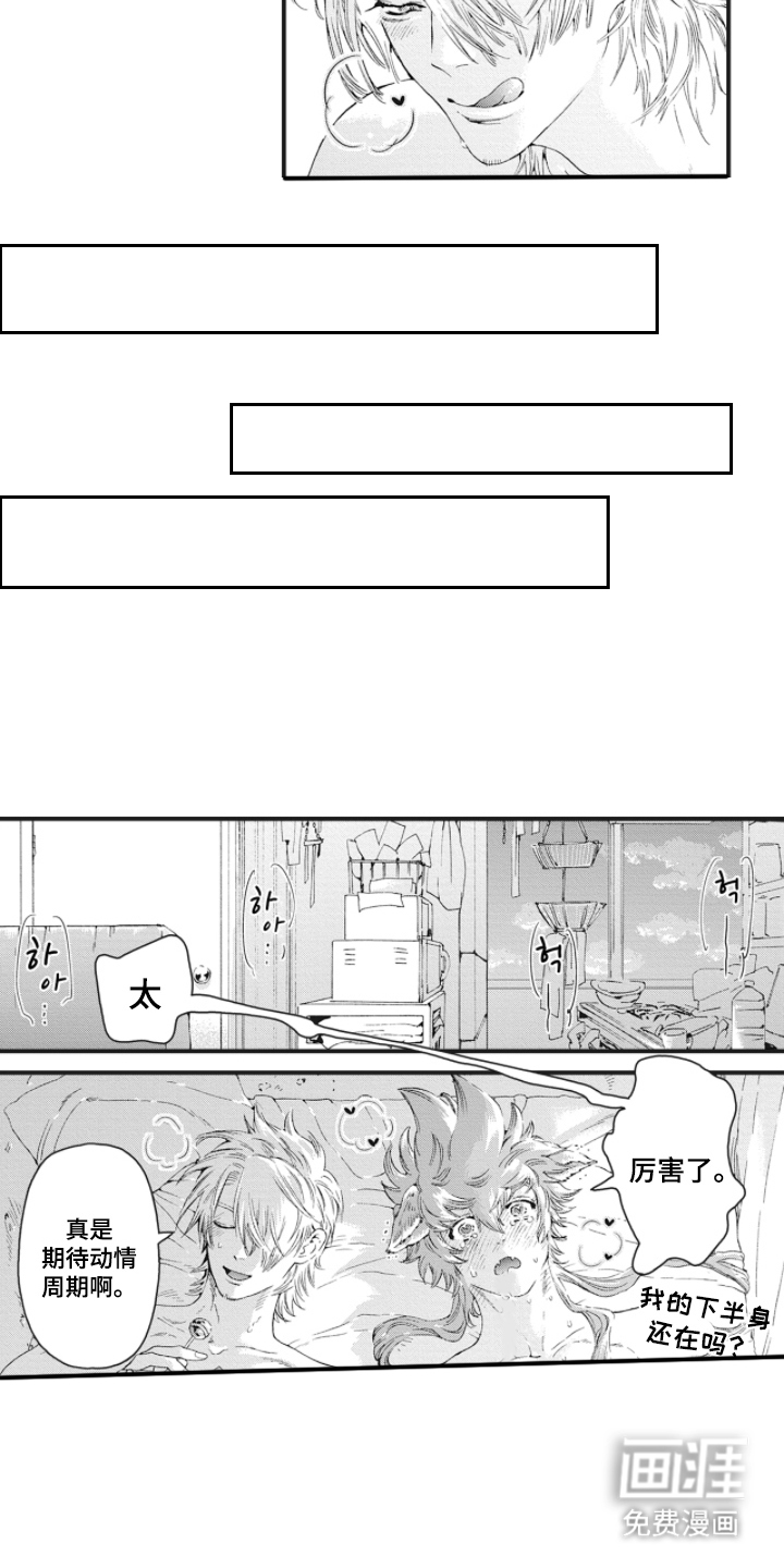 兽耳与听诊器漫画-图3