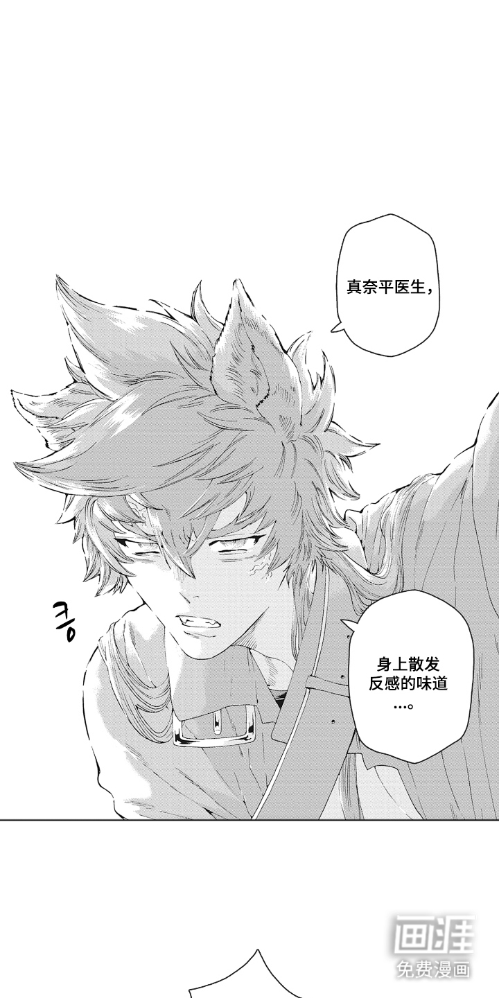 兽耳与听诊器漫画-图13