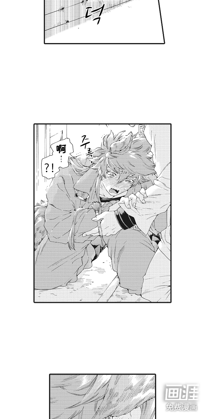兽耳与听诊器漫画-图4