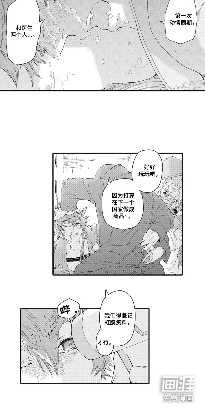 兽耳与听诊器漫画-图8