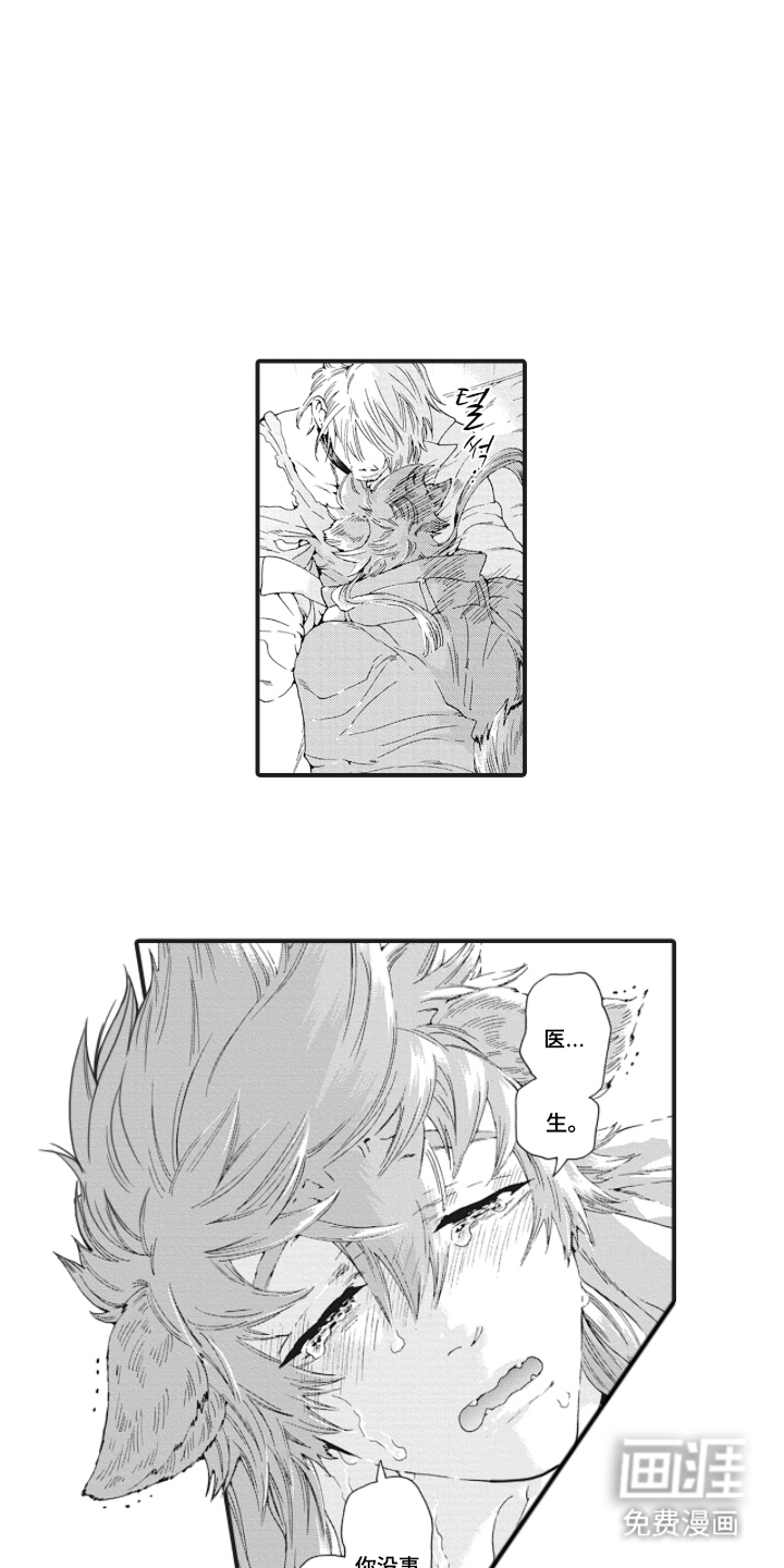 兽耳与听诊器漫画-图14